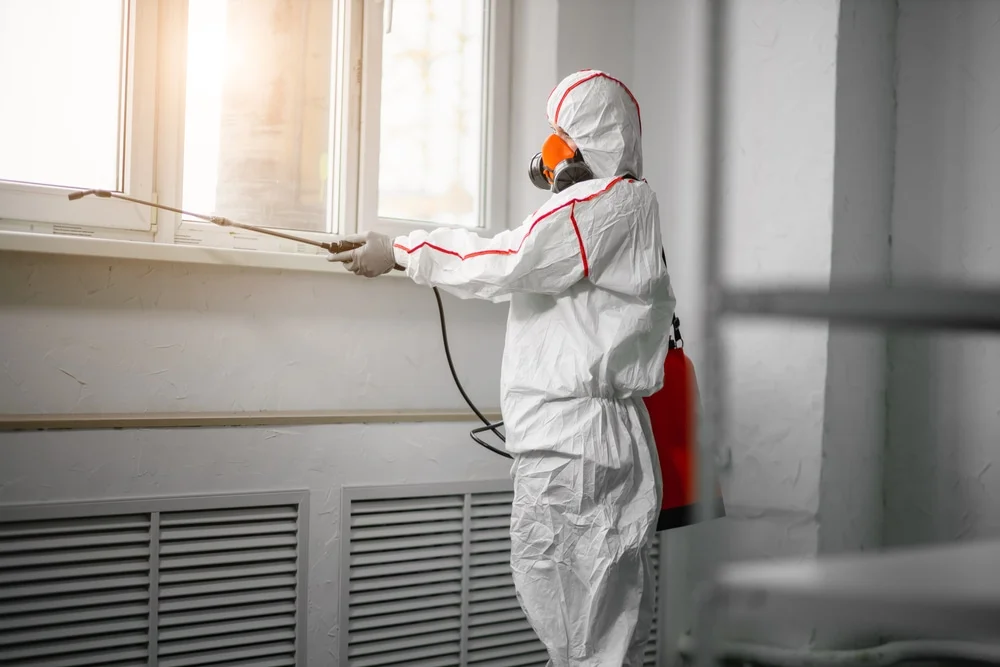 Professional mold remediation services in Cohoes, NY